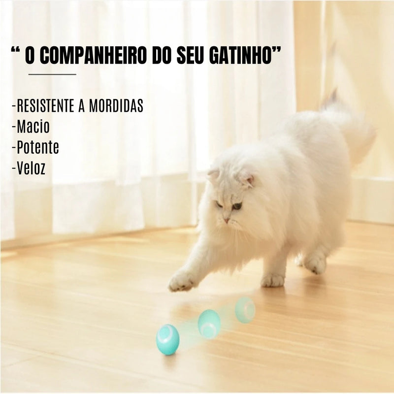 Bola mágica automática para gatos