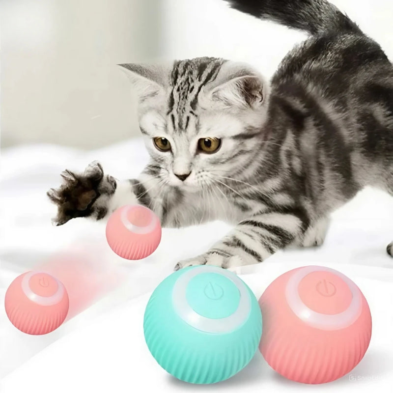 Bola mágica automática para gatos