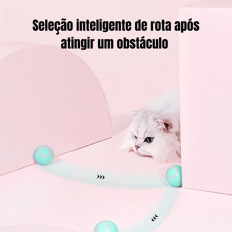 Bola mágica automática para gatos
